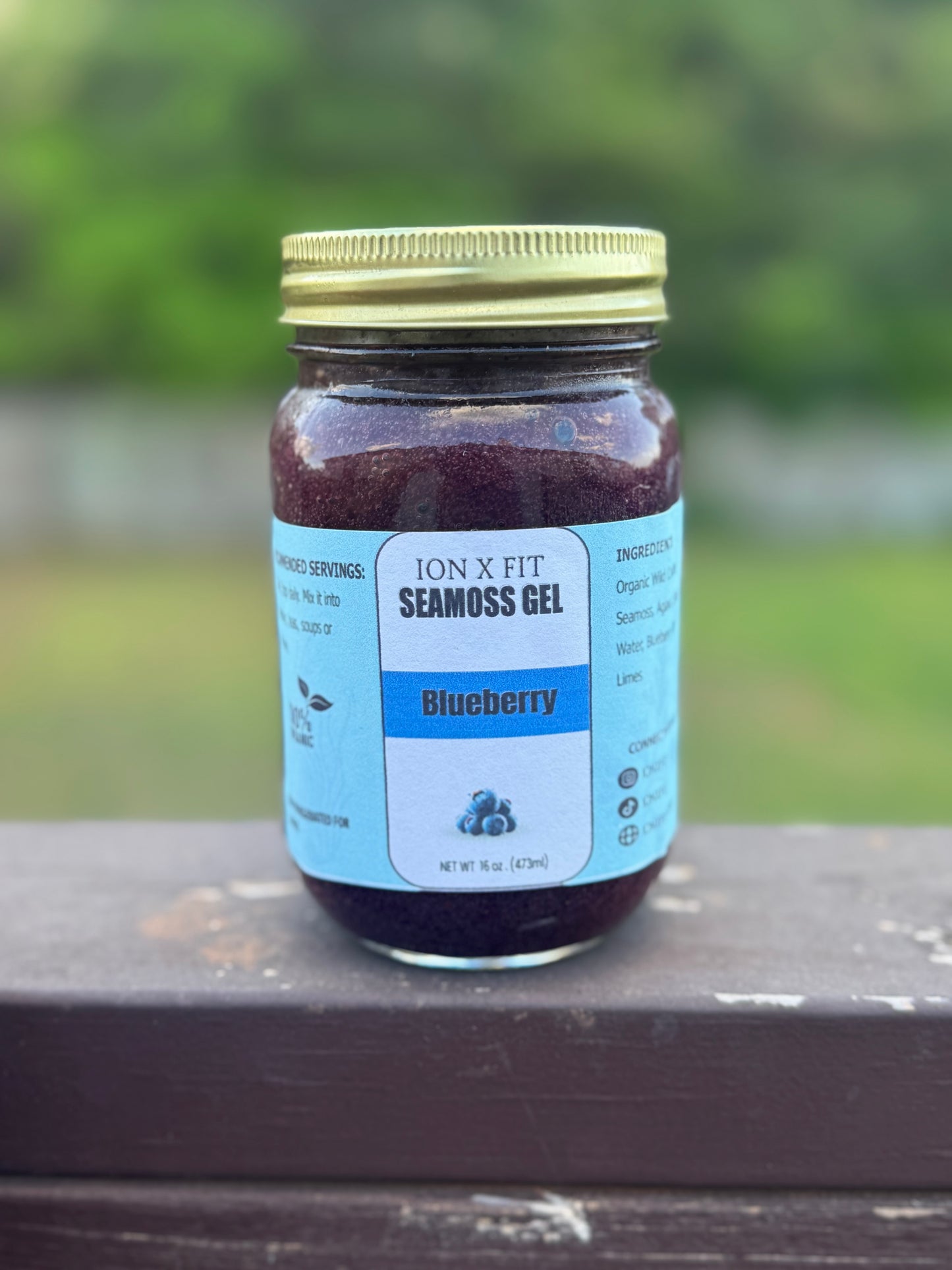 Blueberry Seamoss Gel