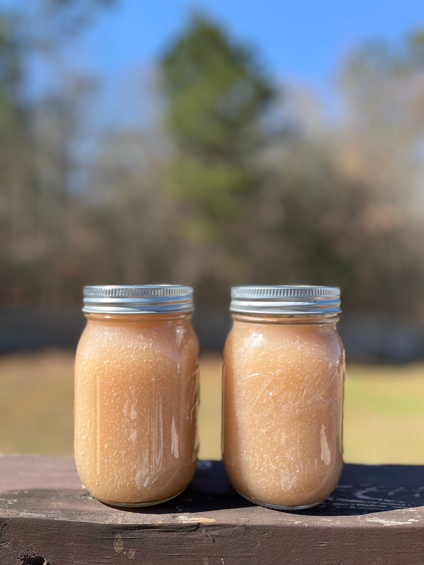 Plain Sea Moss Gel 100% Organic and Wildcrafted